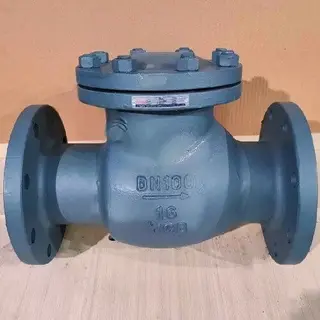 Gost Standard Swing Check Valve DN100 PN16 WCB