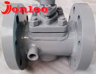 How to Select Between a Plug and a Ball Valve