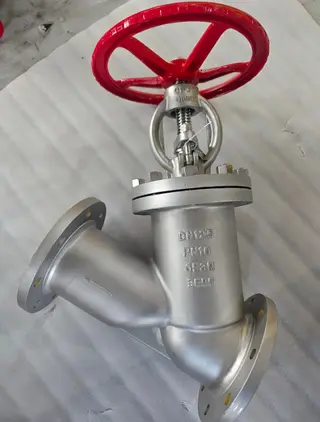 Y Type Globe Valve DN125 PN10 CF3M