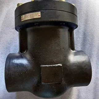 Swing Type Check Valve Full Bore 3INCH 2000PSI A105 Material
