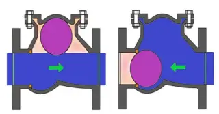What is  Ball Check Valve