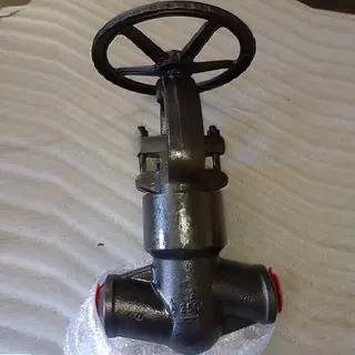 2500LB Forged Globe Valve 2inch F22 Material