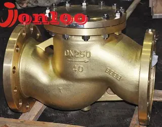 What is a check valve made of aluminum bronze?
