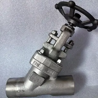 Y Globe Valve F316L PN16 DN25