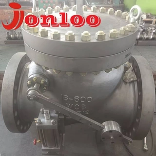 API 6D Swing Check Valve with Weight&Lever and Hydraulic Cylinder: Ensuring Reliable Backflow Prevention for Critical Pipelines