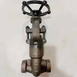 Globe Valve with Pressure Seal Bonnet 1500LB SW F22