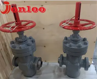 What is a Parallel Slide Gate Valve