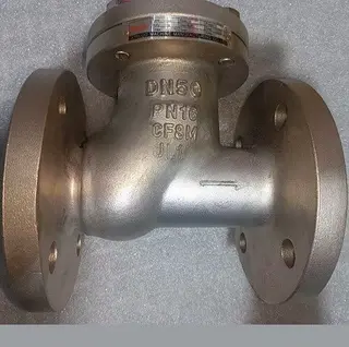 Ball Check Valve SS316 Material PN16