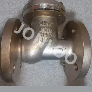 Ball Check Valve SS316 Material PN16