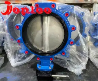 Treatment of Butterfly Valve Surfaces