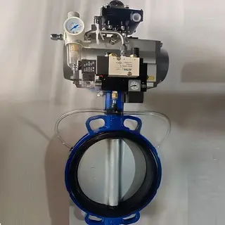 Inflatable Seated Butterfly Valve