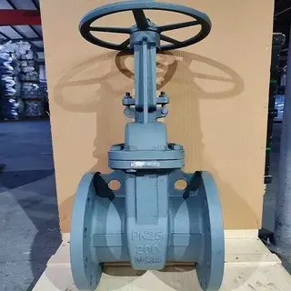 Gost Standard Gate Valve Carbon Steel PN25 DN200