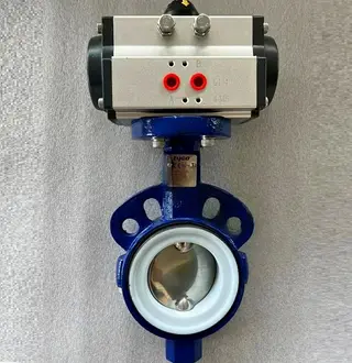Emerson Butterfly Valve wafer type PTFE seat