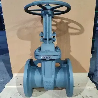Gost Standard Gate Valve Carbon Steel PN16 DN150