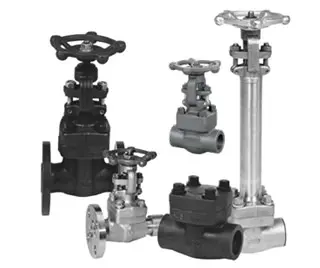 The Difference between Forged Valve and Cast Valve