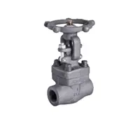 Water-cooled High Temperature Forged Steel Valves