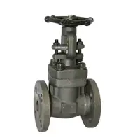 Matters Related to Forged Steel Flanged Gate Valves