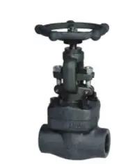 The Classification and Market Demand of Forged Steel Valves