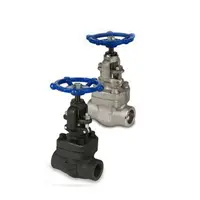Knowledge of Forged Steel Cryogenic Globe Valves