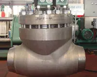 Domestic Development Status of Forged Steel Valves