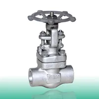 Quality Control of Pressure Bearing Forged Parts (Part One)