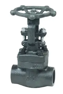Socket-welded Forged Steel Gate Valves