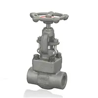 Ultra-high Pressure Self Pressure Sealing Forged Gate Valves