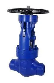 Structural Design of Hydrogenation Valve Bodies