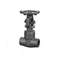 Forged Gate Valves