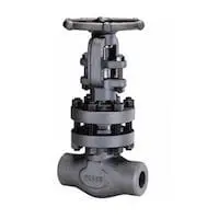 Forged Steel Gate Valves