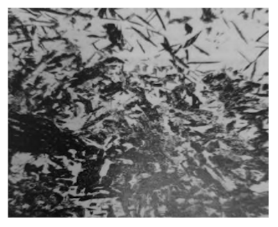500x magnification of bainite 500x magnification of bainite