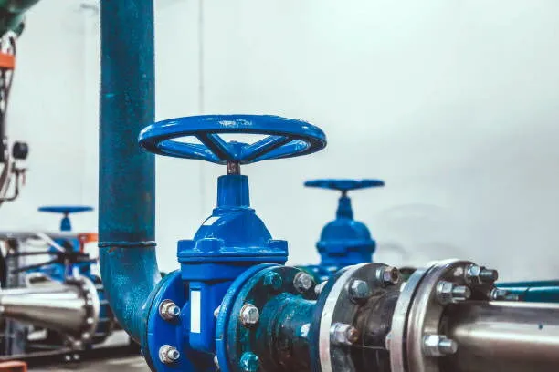 Maintenance Method of Forged Steel Globe Valve