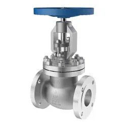 Why Choose Titanium Zirconium Globe Valve