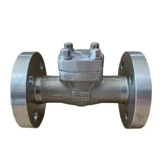 Inspection of Forged Steel Flanged Check Valves