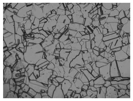Microstructure of F304 steel forging after solution treatment (×200)