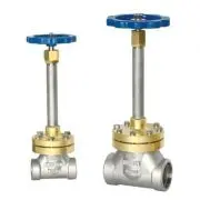 Considerations for Using Forged Steel Cryogenic Valve