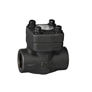 A105 Spring Loaded Check Valve, API 602, 1/2IN, CL150, SW