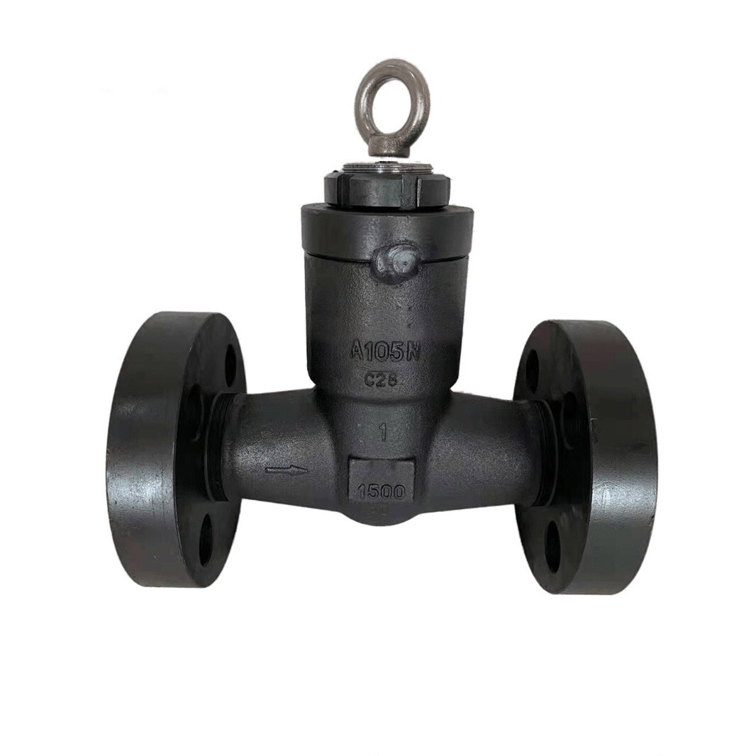 API 602 Swing Check Valve, ASTM A105, 1 Inch, 2500 LB, PSB