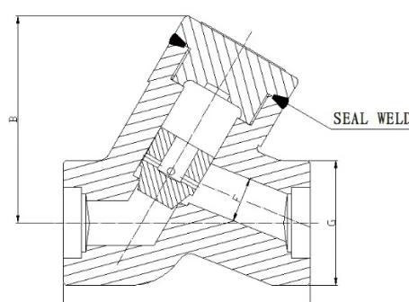 ASME B16.34 Check Valve, ASTM A105N, 1/4-2 Inch, 800-1500 LB