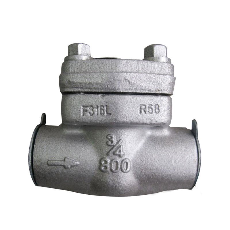 ASTM A182 F316L Swing Check Valve, 3/4 Inch, 800 LB, API 602