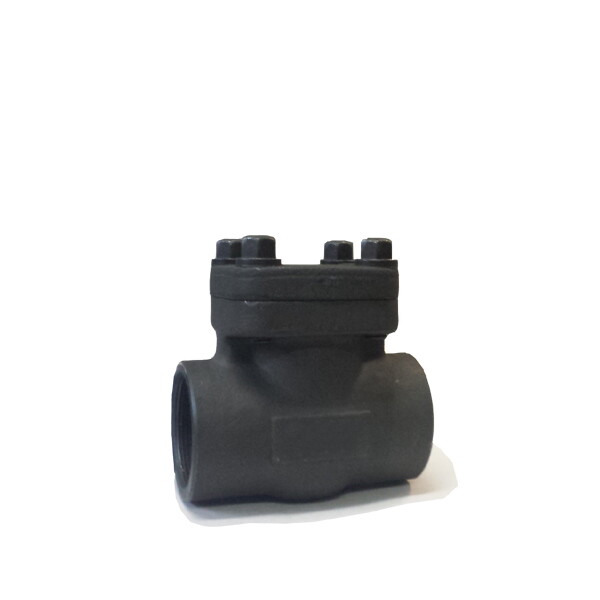 ASTM A350 LF6 CL 2 Check Valve, ASME B16.34, 1 Inch, 4500 LB