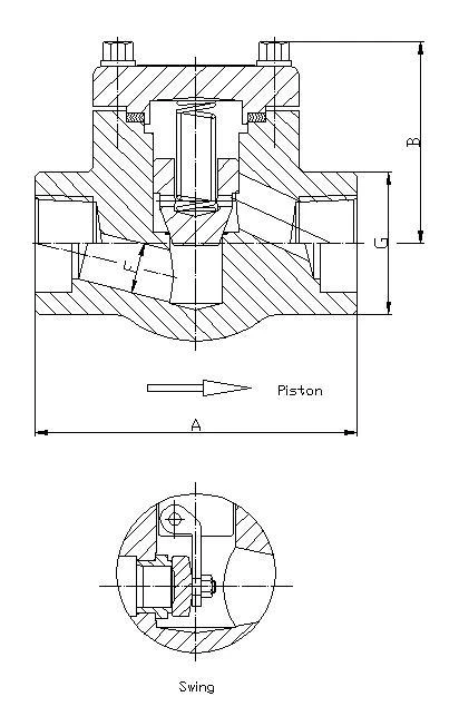 Bolted Bonnet Check Valve, ASME B16.34, 1/2-2 IN, 900-1500 LB