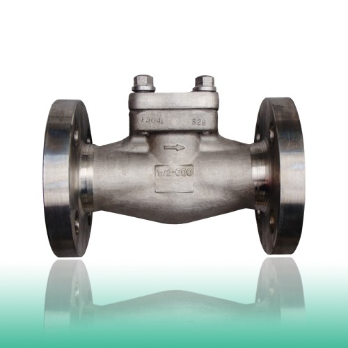 ISO 15761 Check Valve, ASTM A182 F304L, 1\2-4 IN, 150-2500 LB