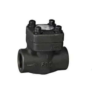 A105 Spring Loaded Check Valve, API 602, 1/2IN, CL150, SW