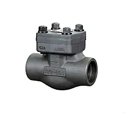 F304 Full Bore Check Valve, ASME B16.34, 1500 LB, 2 Inch, BW