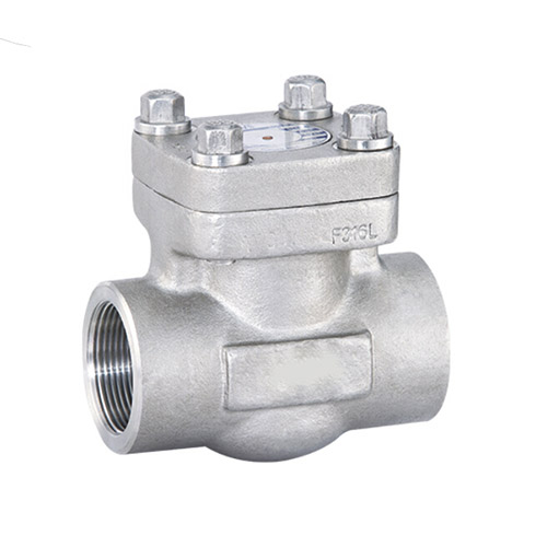 Socket Weld Forged Steel Swing Check Valve, API 602, 2IN, CL800