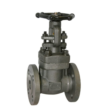 1 Inch Gate Valve, A105N, API 602, CL150, Solid Wedge