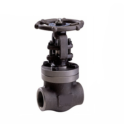 API 602 Bolted Bonnet Forged Gate Valve, 2 Inch, 800 LB, BW