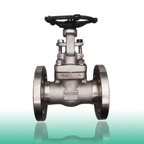 API 602 Forged Cryogenic Gate Valve, 150LB-2500LB, 1/2-4 Inch
