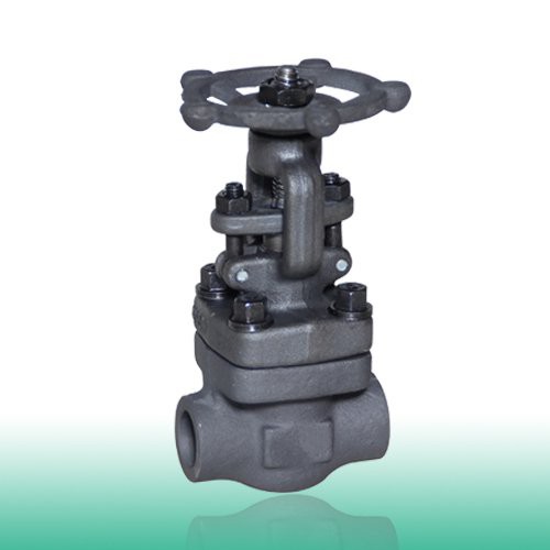 ASME B16.34 Forged Gate Valve, 150LB-2500LB, 3/8-4 Inch